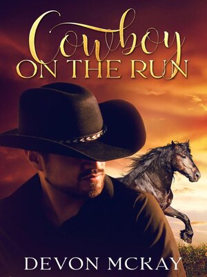 cover image of Cowboy on the Run
